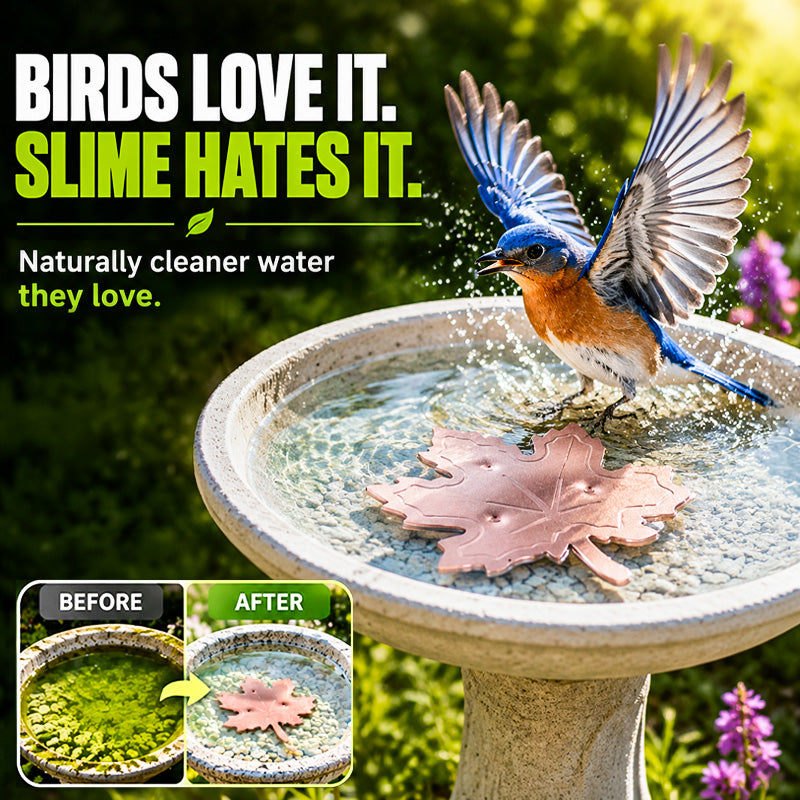 🍁Turqelis™ Universal Fit Bird Bath Purifier