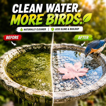 🍁Turqelis™ Universal Fit Bird Bath Purifier