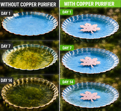 🍁Turqelis™ Universal Fit Bird Bath Purifier
