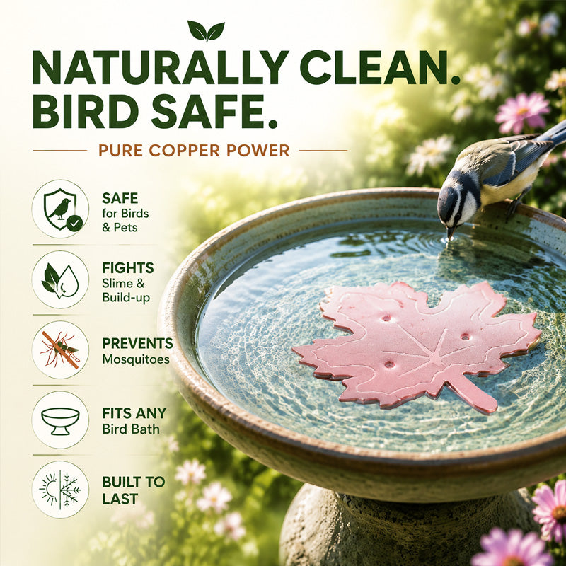 🍁Turqelis™ Universal Fit Bird Bath Purifier