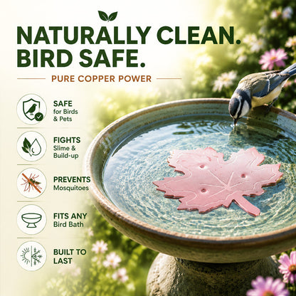 🍁Turqelis™ Universal Fit Bird Bath Purifier