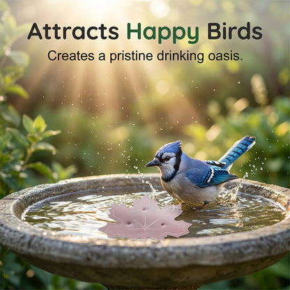 🔥Turqelis™ Universal Fit Bird Bath Purifier (OFFER)